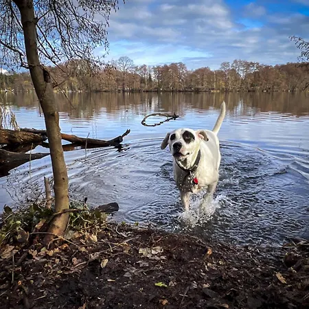 The House Stiller Grund *