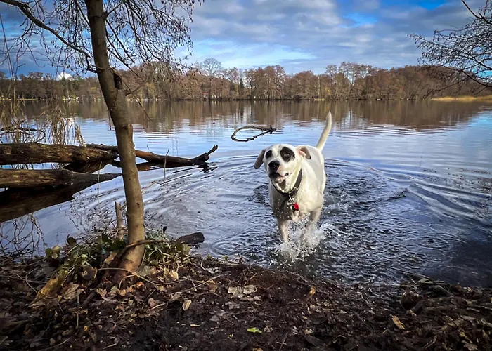 The House Stiller Grund *